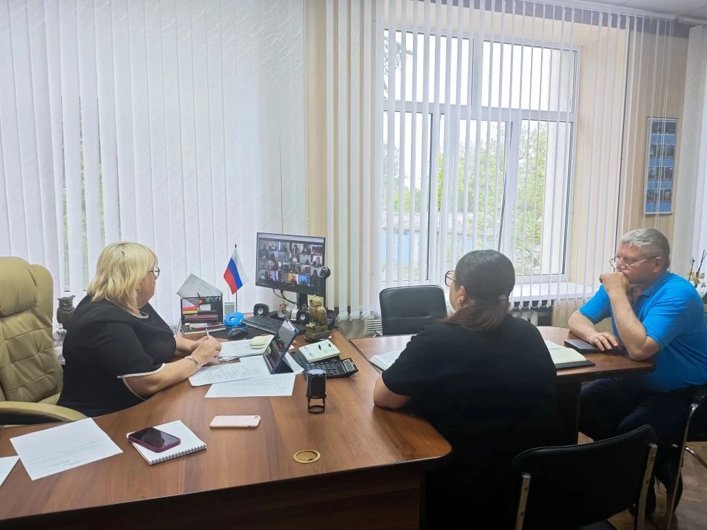Врип главы Каланчакского округа Галина Перелович доложила о ситуации с бесхозным имуществом на территории округа на заседании Правительства Херсонской области
