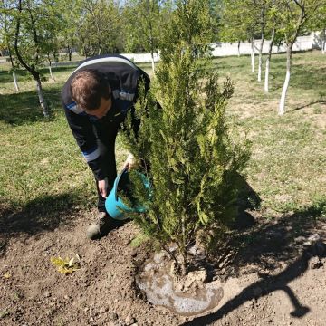 Евгения Кузьменко: Продолжается благоустройство и озеленение Новотроицкого муниципального округа