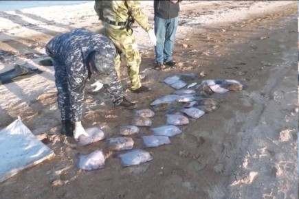 В Херсонской области двух браконьеров поймали с уловом на 140 тысяч рублей