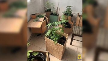 ���������� �� ������� ����� �������� ������������� ������ ����� ������� ���� ���������� ���������� ����