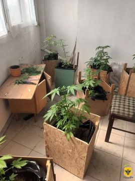 � ��������� ������ �������������� ������ ���������� ��������� ���� �� ���������� �������� ������������� �������