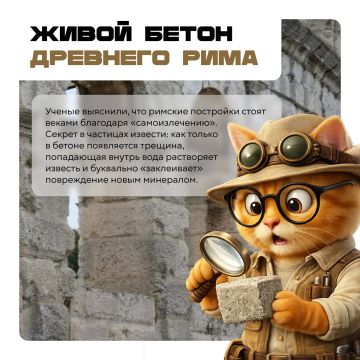 ��� ����� ����, ������� ������ ����� � ��� ����� �������