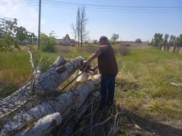 Владимир Оганесов: Месячник благоустройства в Новой Каховке: вместе делаем город чище и зеленее!