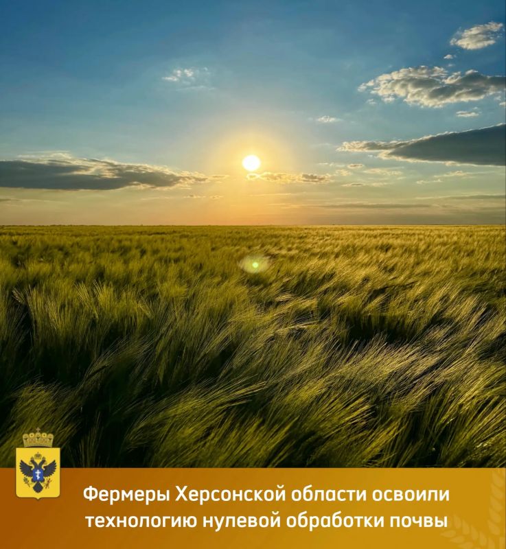 Фермеры Херсонской области освоили технологию нулевой обработки почвы