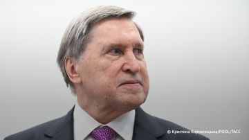 Путин прибудет в Пекин вечером 19 мая, встречать его будет министр иностранных дел КНР Ван И, рассказал Ушаков