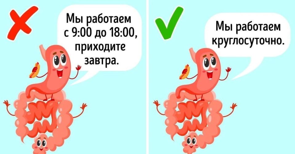 Еда после 18:00: можно или нельзя?