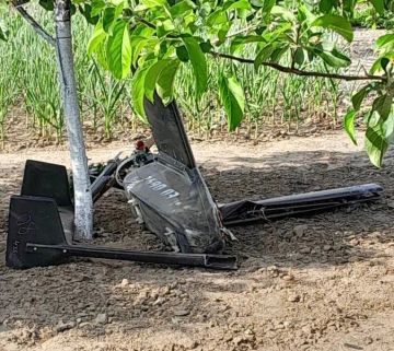 В Васильевке Каховского округа саперы обезвредили упавший БпЛА ВСУ