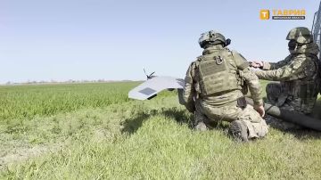 Енот из Херсона: Расчет БпЛА "Скат-350М" группировки "Днепр" навел артиллерию на скрытый пункт управления дронами ВСУ с личным составом на правобережье Херсонской области
