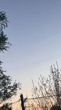 Кадры поражения украинского дрона-камикадзе FP-1 в Подмосковье