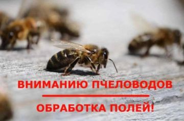 �������� ���������� ������������� �������������� ������! ��������� ����� ����������� 21 ���