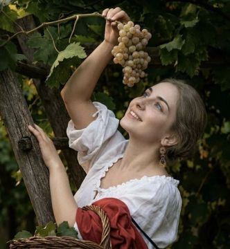 Лето без больничной койки: правила выбора фруктов и зелени от Роспотребнадзора