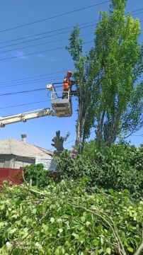 Ежедневная работа на благо округа: итоги 20 мая