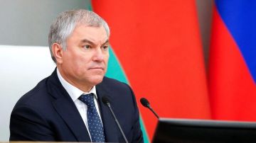 Киевский режим ждет подобие Нюрнбергского процесса — Володин