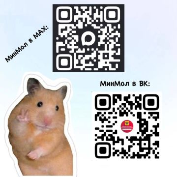 Всё ещё не подписан на нас в MAX и VK?