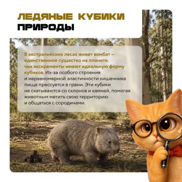 Осторожно: после этих карточек мир уже не будет прежним!