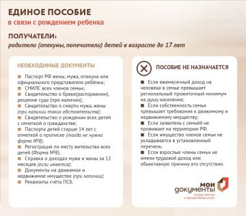 Ежемесячное пособие на ребёнка через МФЦ - что нужно знать