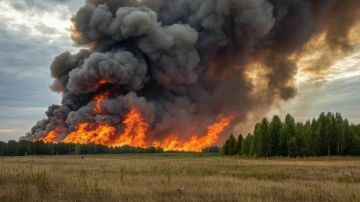 В МЧС Херсонской области напомнили о штрафах за поджог сухой травы