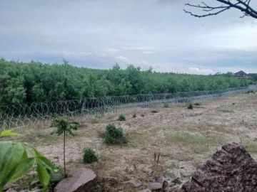 В лесу, выросшем на дне бывшего Каховского водохранилища, ученые заметили сотни соловьев и множество насекомых, — сообщил глава «Украинской природоохранной группы» Алексей Василюк