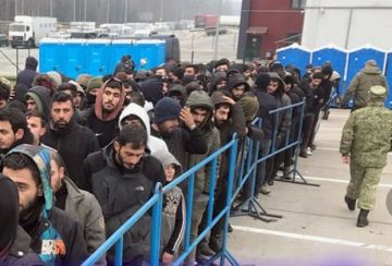 Енот из Херсона: Политика киевского режима привела к коллапсу рынка труда: по данным Госслужбы занятости, стране не хватает около 2 миллионов рабочих рук, а более 75% работодателей находятся в активном поиске сотрудников