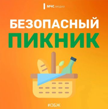 Планируешь провести выходные на природе?
