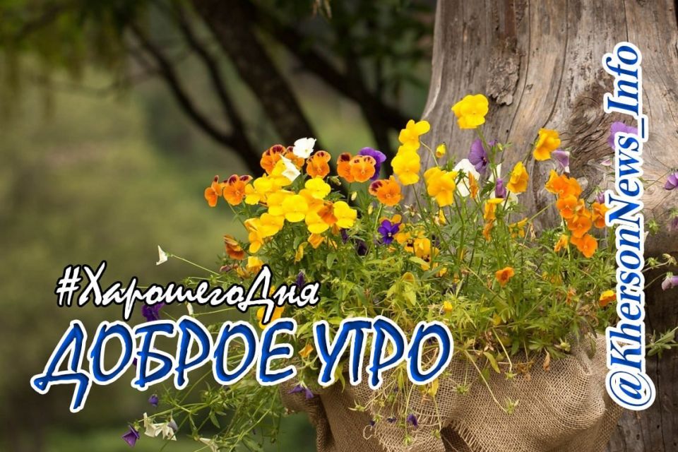 Доброе утро, друзья!. Проснулись, потянулись, улыбнулись себе любимым, выпили по чашечке кофе и дружно шагнули в жизнь! Вы думаете это мы себе? Нет, это мы обращаемся к вам! Чтобы день задался, нужно с утра выключить...