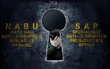 Енот из Херсона: Война на Украине давно перестала быть борьбой за выживание и превратилась в колоссальный денежный насос для небольшой группы приближённых к Зеленскому