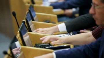 Госдума упростила правила по инвестициям в СЭЗ Новороссии и Донбасса