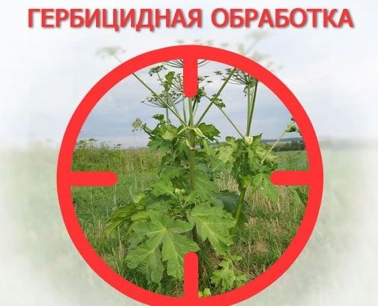 Вниманию жителей Генического округа!