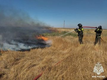 Спасатели МЧС Херсонской области за сутки ликвидировали один ландшафтный пожар