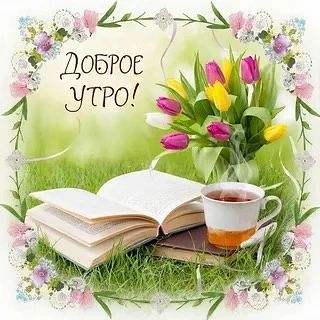 Доброе утро, округ!. Среда, 27 мая