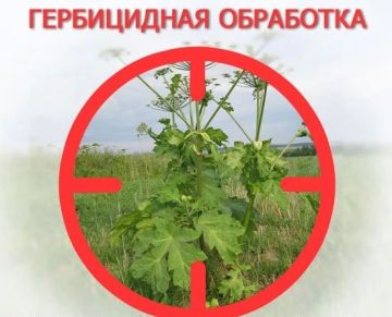Вниманию жителей Генического округа!