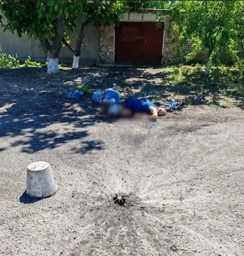 За сутки киевский режим убил двоих и ранил 14 мирных жителей Херсонщины — данные уполномоченного по правам человека