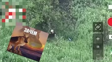 Второй шанс на жизнь дается редко, но некоторые идиоты и его не могут использовать