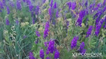 У нас в Геническом округе есть место, где море встречается с небом, а природа дарит невероятные мгновения умиротворения и спокойствия