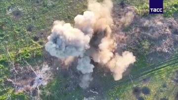 Ивановские десантники группировки войск "Днепр" уничтожили подземные лабиринты ВСУ на запорожском направлении, сообщили в Минобороны России