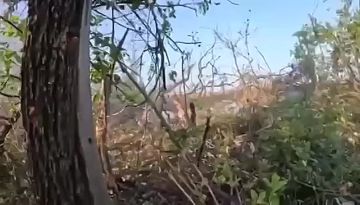 ����� ������.... ��� ���� ���������� ���� � ������� � �������. ����� �� ������� ���� ��������-����� ���������� �������