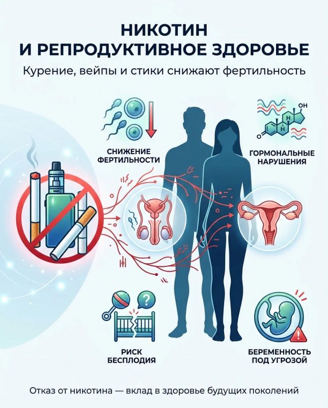 Влияние никотина на репродуктивную систему: риски для будущего здоровья