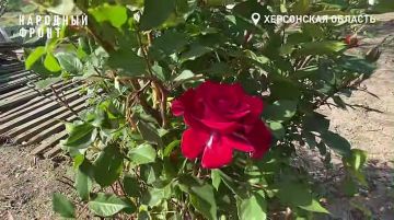 "Дети - это счастье!". В День защиты детей многодетная мама Херсонщины рассказала о важности семьи и поддержке государства
