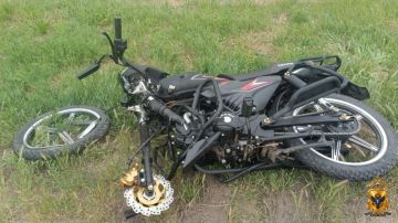 � ����������������� ������ ����������� ������������� �������������� ��� � ������������