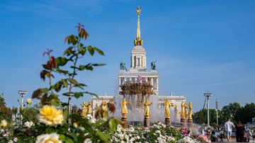 Всероссийская акция «Счастье — это…» стартовала на фестивале «Движения Первых» на ВДНХ