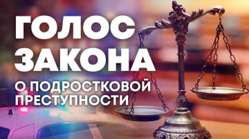О подростковой преступности — в программе "Голос закона"