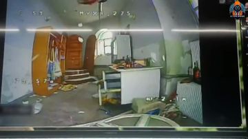 ������ �������: ��� ����������� ����� ���������� ���� � ������