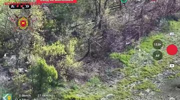 Запорожское направление.. Операторы дронов-камикадзе 4-й военной базы вскрывают и уничтожают пункты управления беспилотниками противника, его замаскированные позиции, технику, личный состав и беспилотники