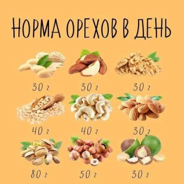 Орехи на ПП: «немного» — это сколько?