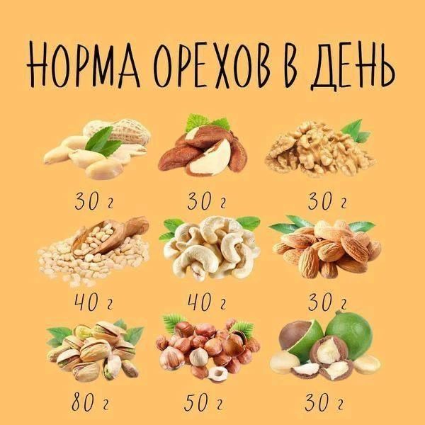 Орехи на ПП: «немного» — это сколько?