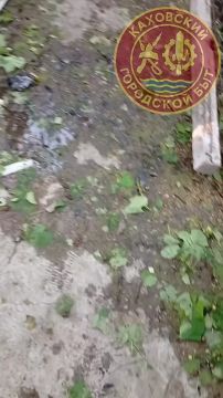 ������� ��� �����: ��������� ������� ��� � ������� (�����)