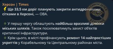 В Херсоне украинские власти планируют закрыть антидроновыми сетками еще 33,5 километра дорог