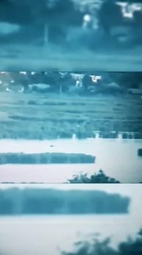 ��������� �������, ��� ��������� ����� ��������� ������������� ���������� ��� � ����-���� ����� �����