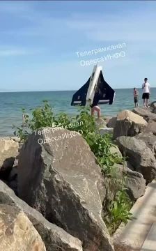 "Улов" дня в Одессе