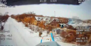 Свежая порция свинореза в FullHD